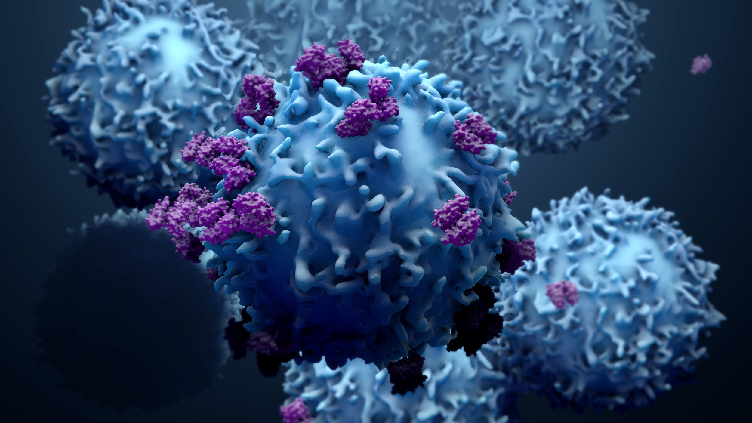 Células del sistema inmunológico atacando a otra célula